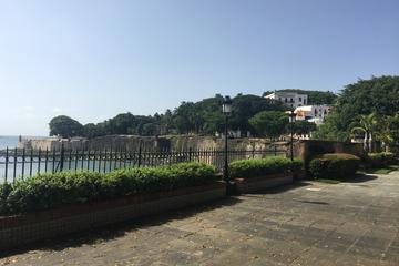 San Juan Historic Tour: Fort San Cristobal and Ruin of Caparra