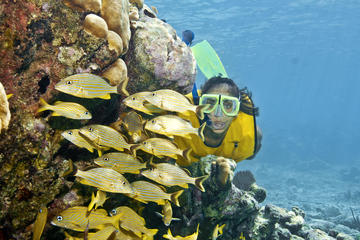Full-Day Extreme Adventure Tour from Riviera Maya