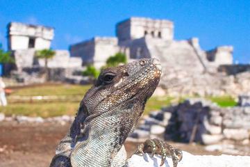 Tulum Xtreme from Cancun