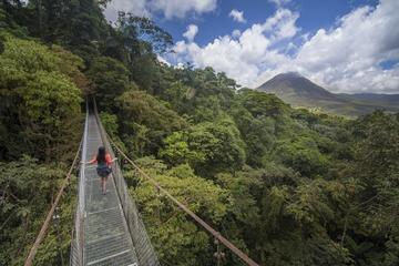 Arenal Hanging Bridges Hiking Private Tour