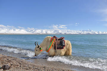 2-Day Small-Group Lake Namtso Experience from Lhasa