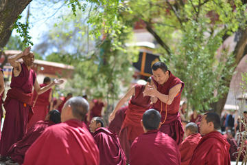 Day Tour: Tibet Drepung and Sera Monasteries