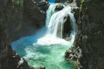 Waterfalls, Cathedral Grove Rainforest, and Coombs Private Tour with Hiking