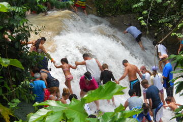 Montego Bay Shore Excursion: Blue Hole and Dunn's River Falls Tour