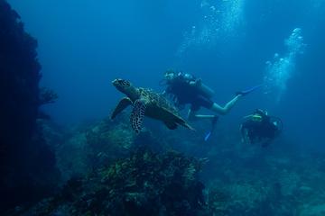 2-Tank Morning Boat Dive in St Thomas
