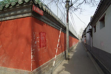 4-Hour Layover Tour: Beijing Hutong and Wangfujing Street