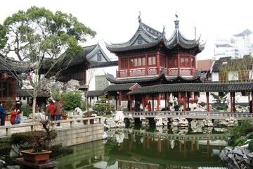 Shanghai City Bus Tour