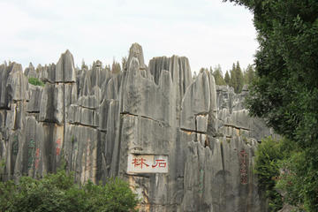 Stone Forest Private Day Tour