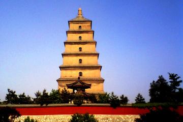 Xi'an City Bus Day Tour