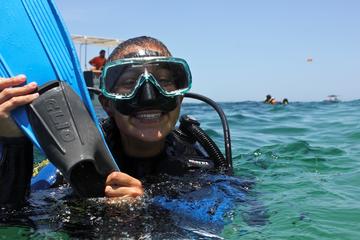 Scuba Review and Refresher Program in Cabo San Lucas
