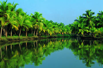Crystal Serenity Shore Excursion : Special 2 Days Cochin Tour