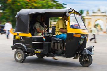 Local Tuk -Tuk Tour of Kochi - Private Tour