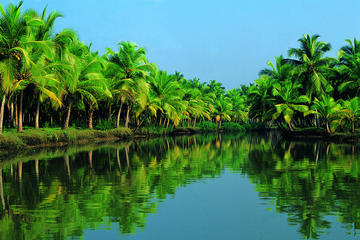 Mariner of the Seas Kochi Shore Excursion: Alleppey Backwater Houseboat Tour and Fort Kochi