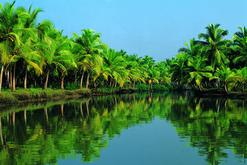 MSC Splendida Group Shore Excursions from Cochin Port