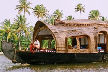 Private Overnight Backwaters Houseboat Cruise in Alleppey