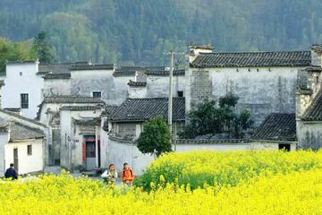 3-Day Private Huangshan (Yellow Mountain) Tour