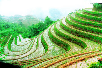 Guilin Private Tour: Longji Rice Terraces Day Tour in Longsheng