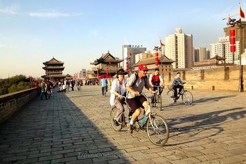 One day private tour to Terracoatta Warriors