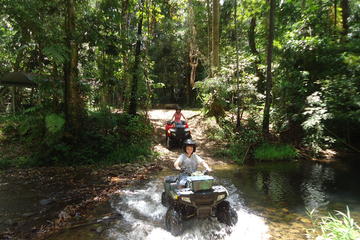 Half-Day ATV 4-Wheel Buggy Rainforest Day Trip from Cairns