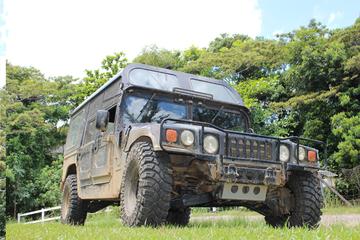 Half-Day Rainforest Hummer Day Trip from Cairns