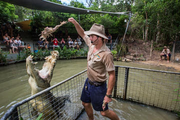 Hartley's Crocodile Adventures Day Trip from Cairns