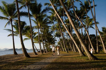 Port Douglas Round-Trip Transfer from Cairns with Free Time in Port Douglas
