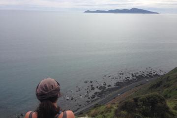 Paekakariki Escarpment Track