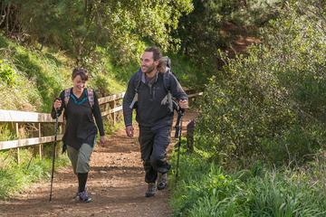 Southern Explorer Walk