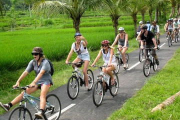 Full-Day Bali Downhill Bike Tour