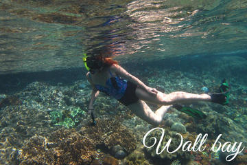 Full-Day Bali Nusa Penida Snorkeling Trip with Lunch and Hotel Transfers