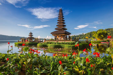 Full-Day Private Bedugul Jatiluwih Rice Terraces and Tanah Lot Tour