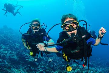 Full-Day USS Liberty Shipwreck Scuba Diving in Tulamben