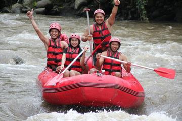 Half-Day White River Rafting from Bali including Buffet Lunch and Transfers