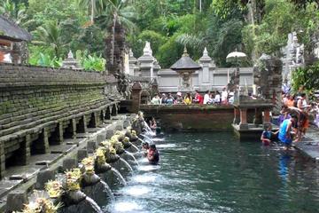 Private Balinese Traditional Tour with House Tour & Ubud Monkey Forest