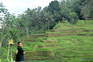 Private Shore Excursion: Best of Bali