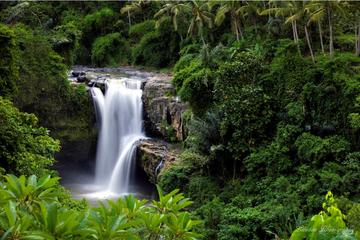 Private Tour: Best of Bali