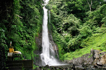 Private Tour: Natural Bali and Temples Tour