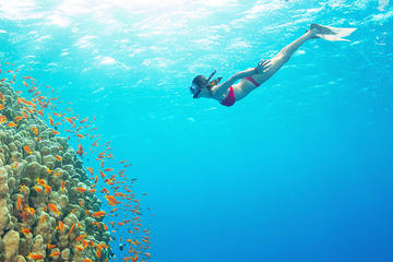 Snorkeling Tour at Blue Lagoon Bali with Lunch and Transfers