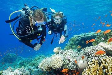 Underwater Dive Experience for Beginners in Bali