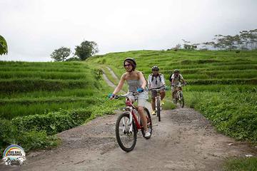 Village Cycling Tour in Bali Including Transfers and Lunch