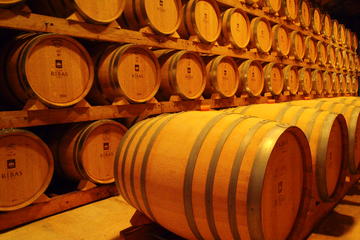 Excursion en bord de mer à Palma de Majorque : visite d’un domaine...