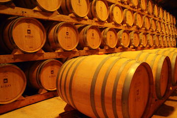 Palma de Mallorca Shore Excursion: Winery Visit and Wine Tasting Tour