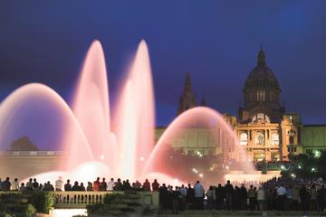 Guided Night Tour with The Magic Fountain by Bus in Barcelona