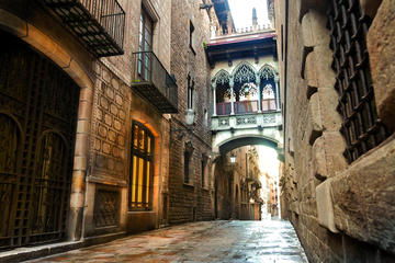 Picasso Museum and Gothic Quarter Walking Tour in Barcelona
