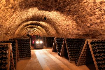The Montserrat and Codorniu Wine Cellars Tour in Barcelona
