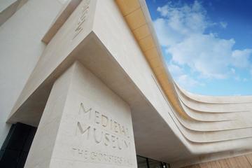 Waterford Treasures Medieval Museum: Admission Ticket