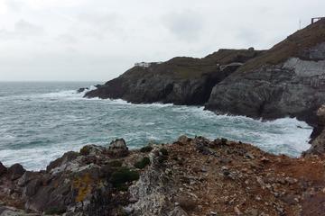 Full-day Private Mizen Head tour from Killarney