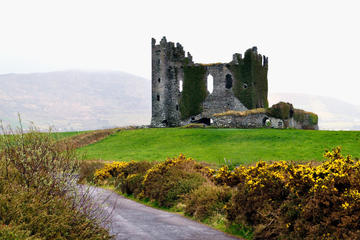 Ring of Kerry Private Tour from Cahersiveen