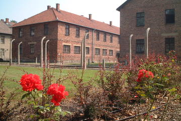 Auschwitz-Birkenau Museum Private Tour from Krakow