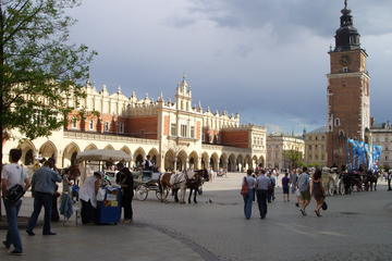 History City Tour of Krakow by Minibus